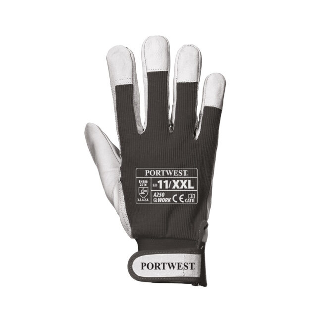 Tergsus Glove