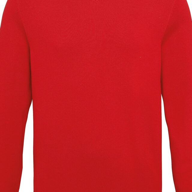 Men’s cotton blend v-neck sweater