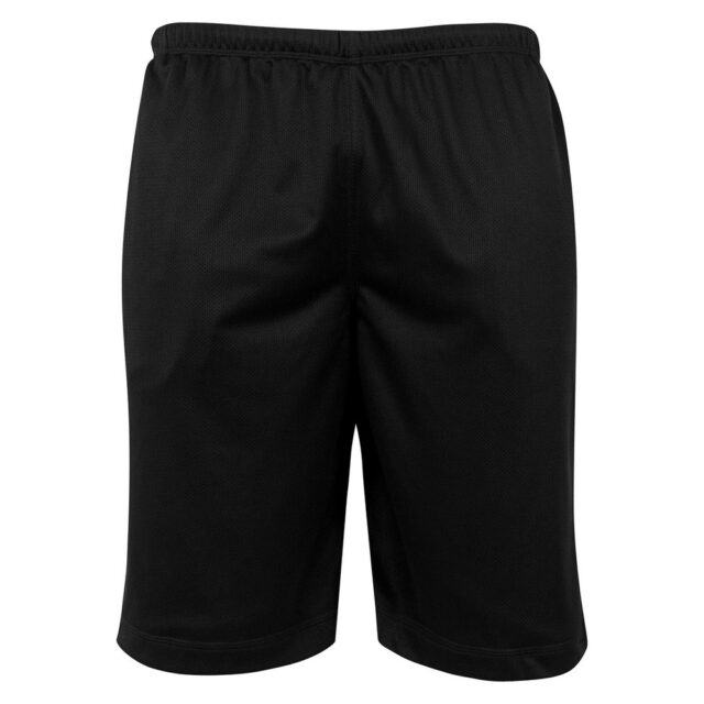 Mesh shorts