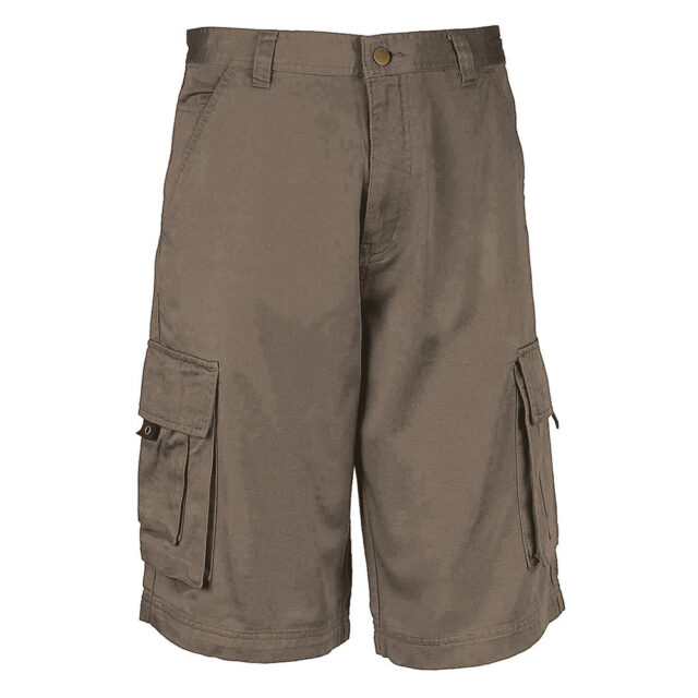 Trekker Bermuda shorts