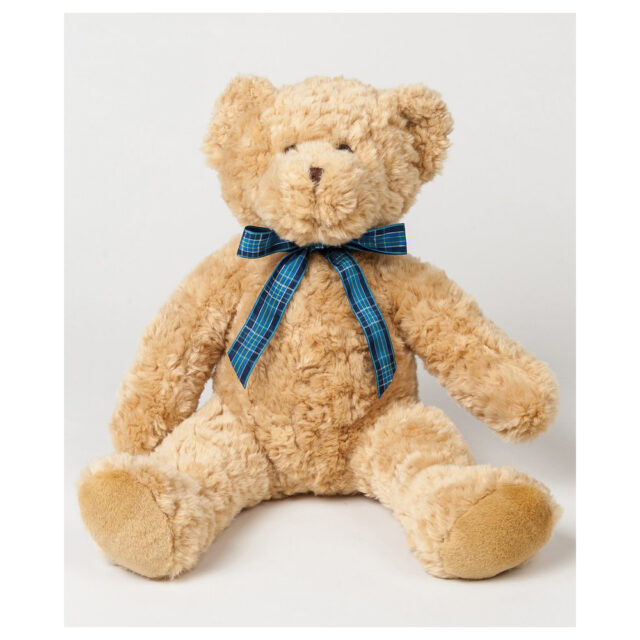 Bracken bear