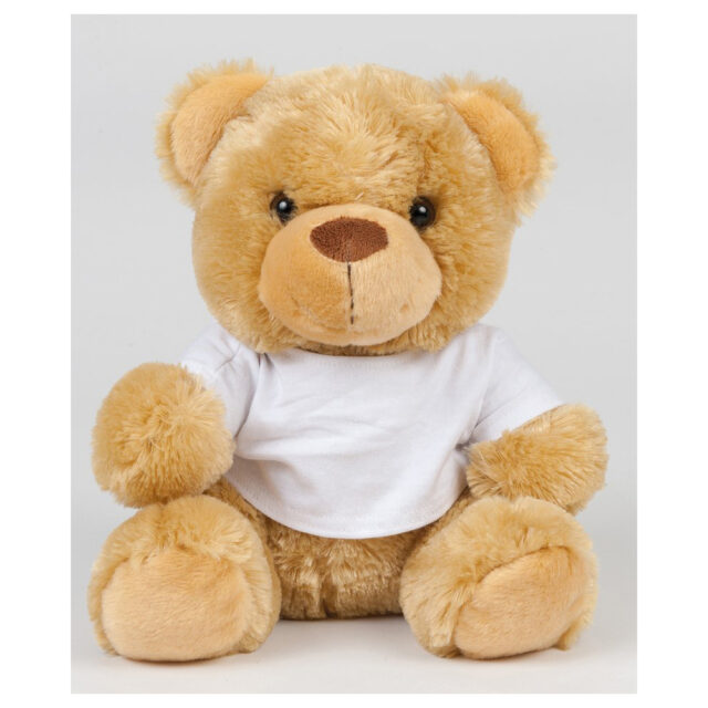 Bear in a t-shirt