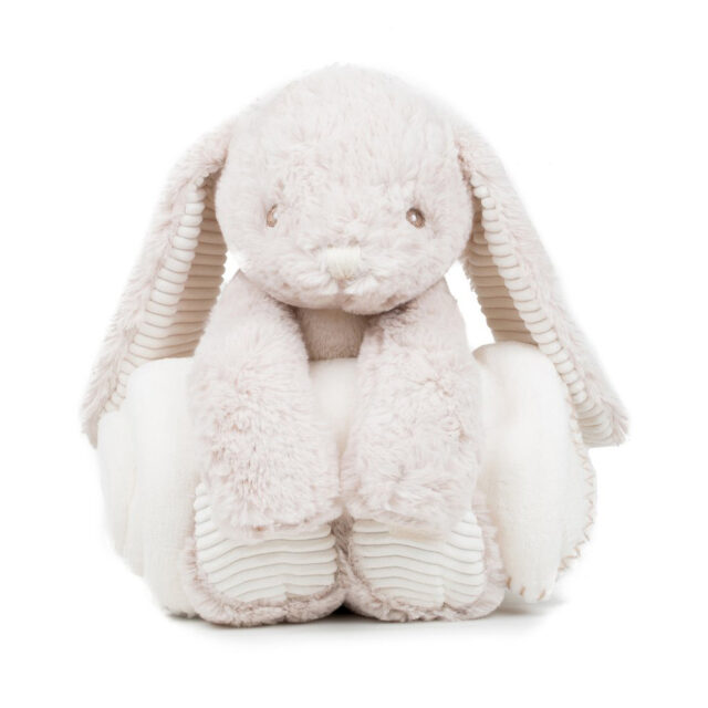 Rabbit and blanket
