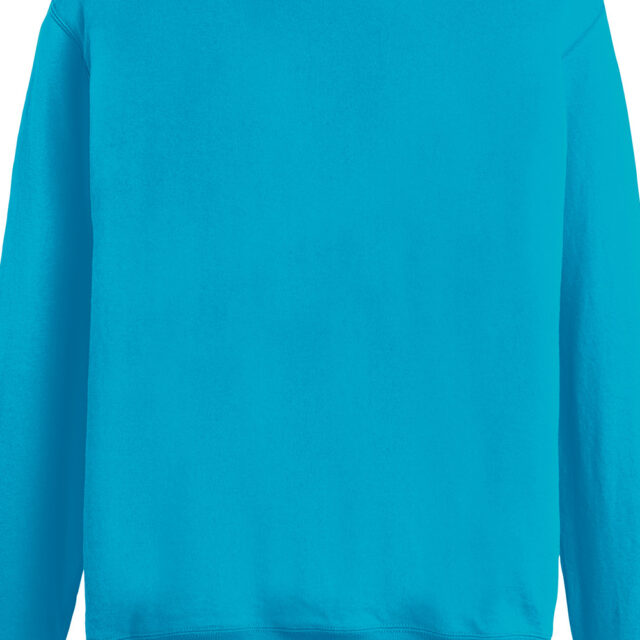 Lightweight set-in sweatshirt