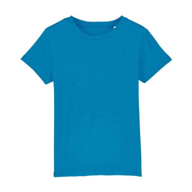Kids mini Creator iconic t-shirt (STTK909)