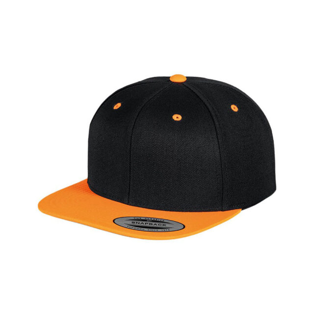 The classic snapback 2-tone  (6089MT)