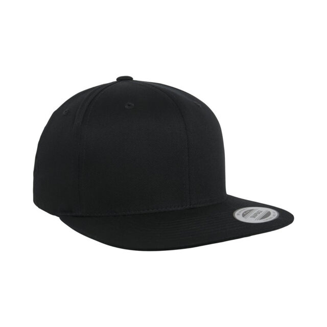 Organic cotton snapback (6089OC)